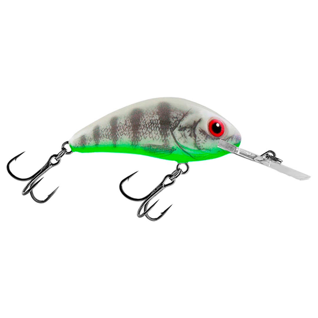 Salmo Rattlin&