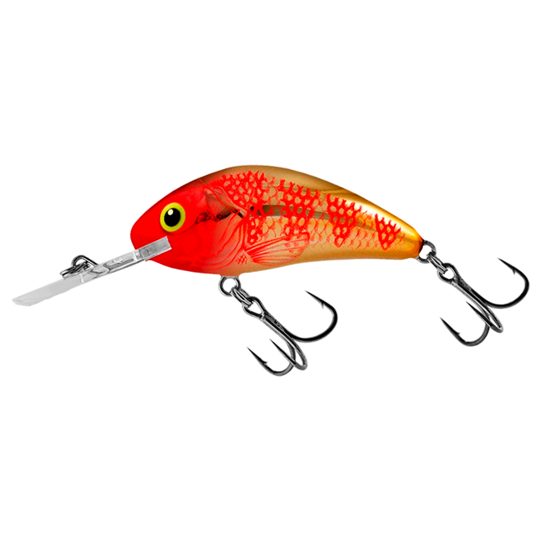 Salmo Rattlin&