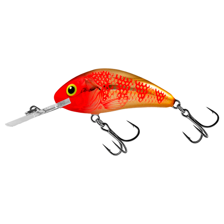 Salmo Rattlin&