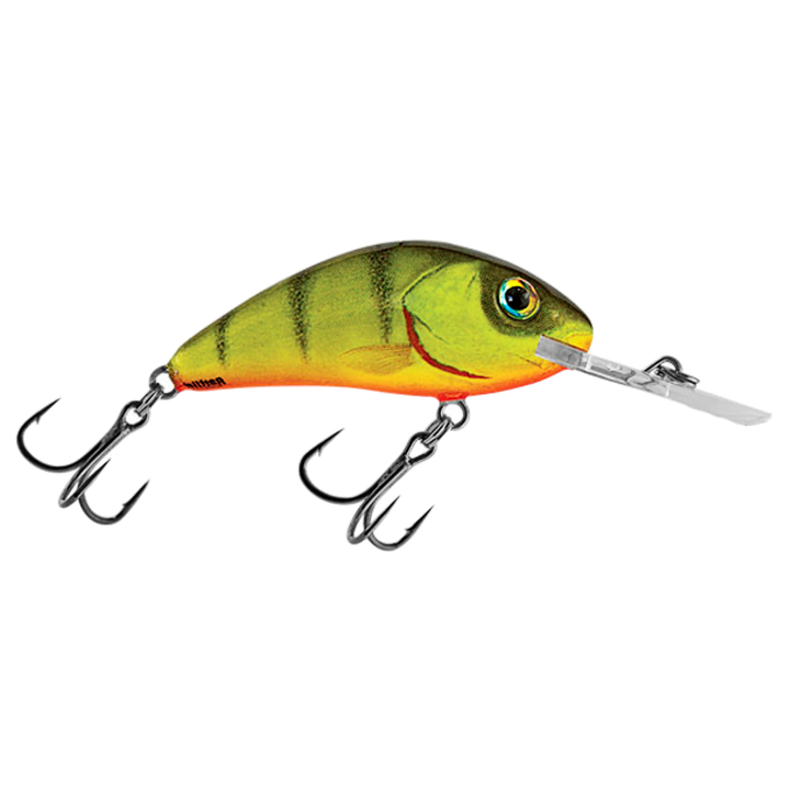 Salmo Rattlin&