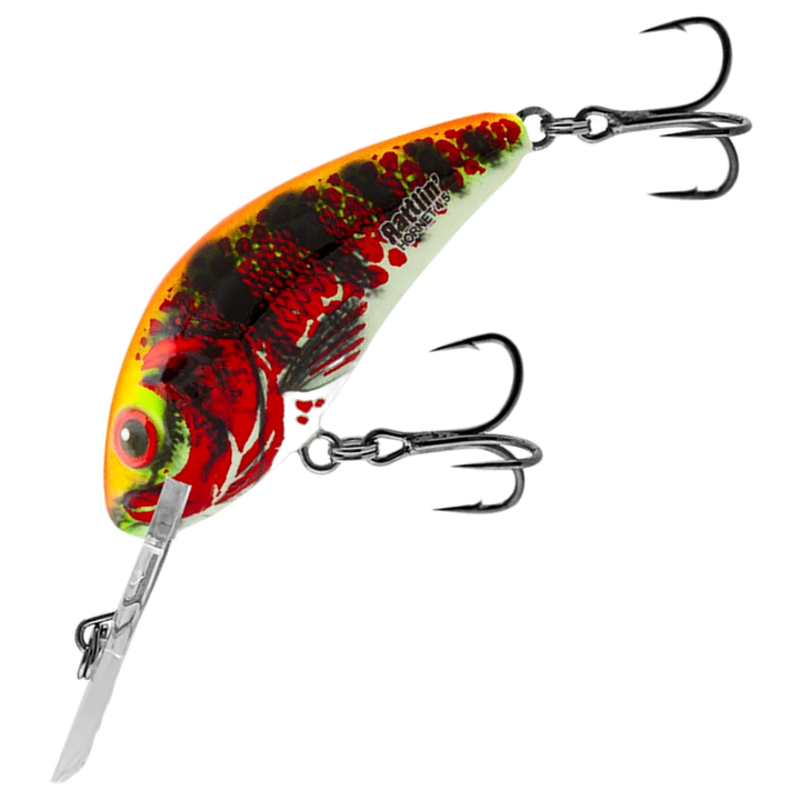Salmo Rattlin&