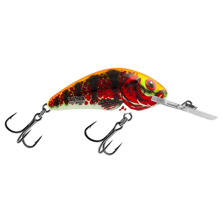 Salmo Rattlin&