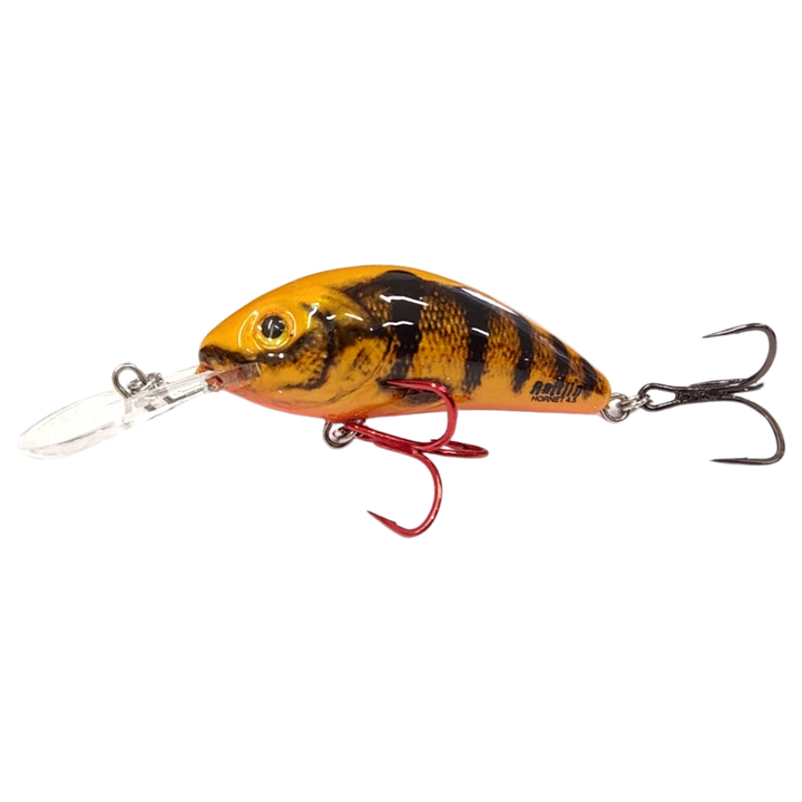 Salmo Rattlin&