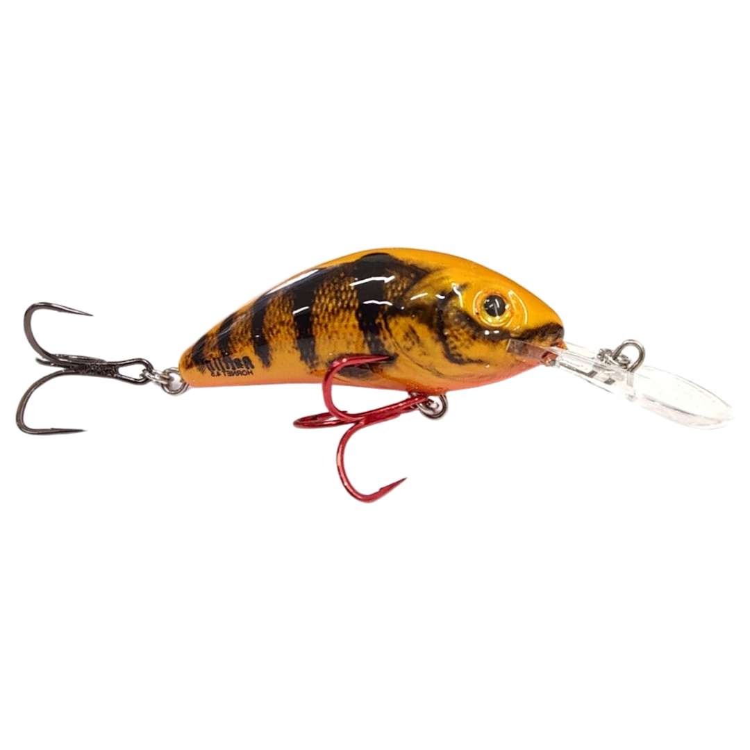 Salmo Rattlin&