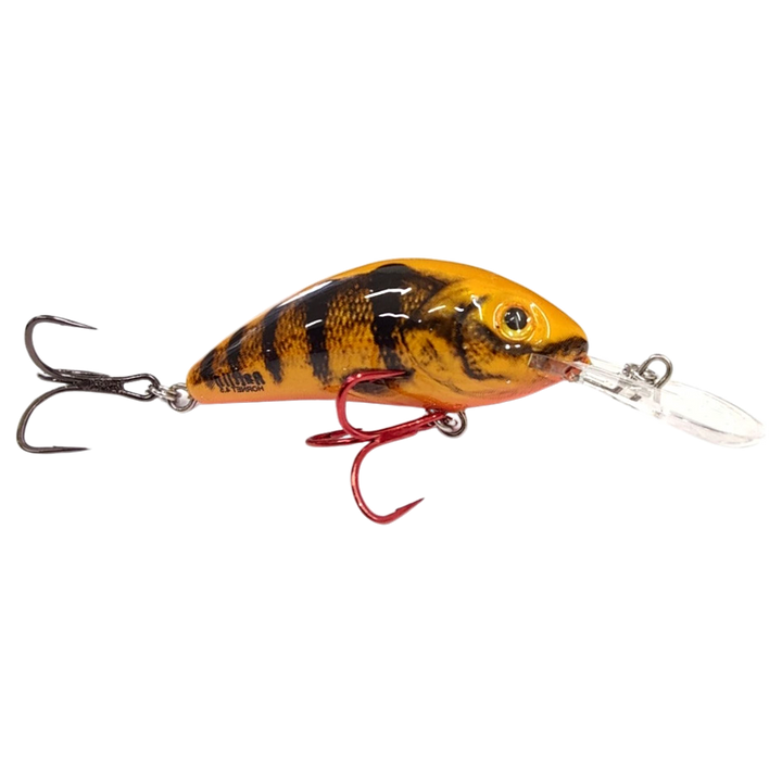 Salmo Rattlin&