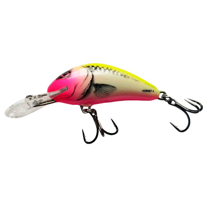 Salmo Rattlin&