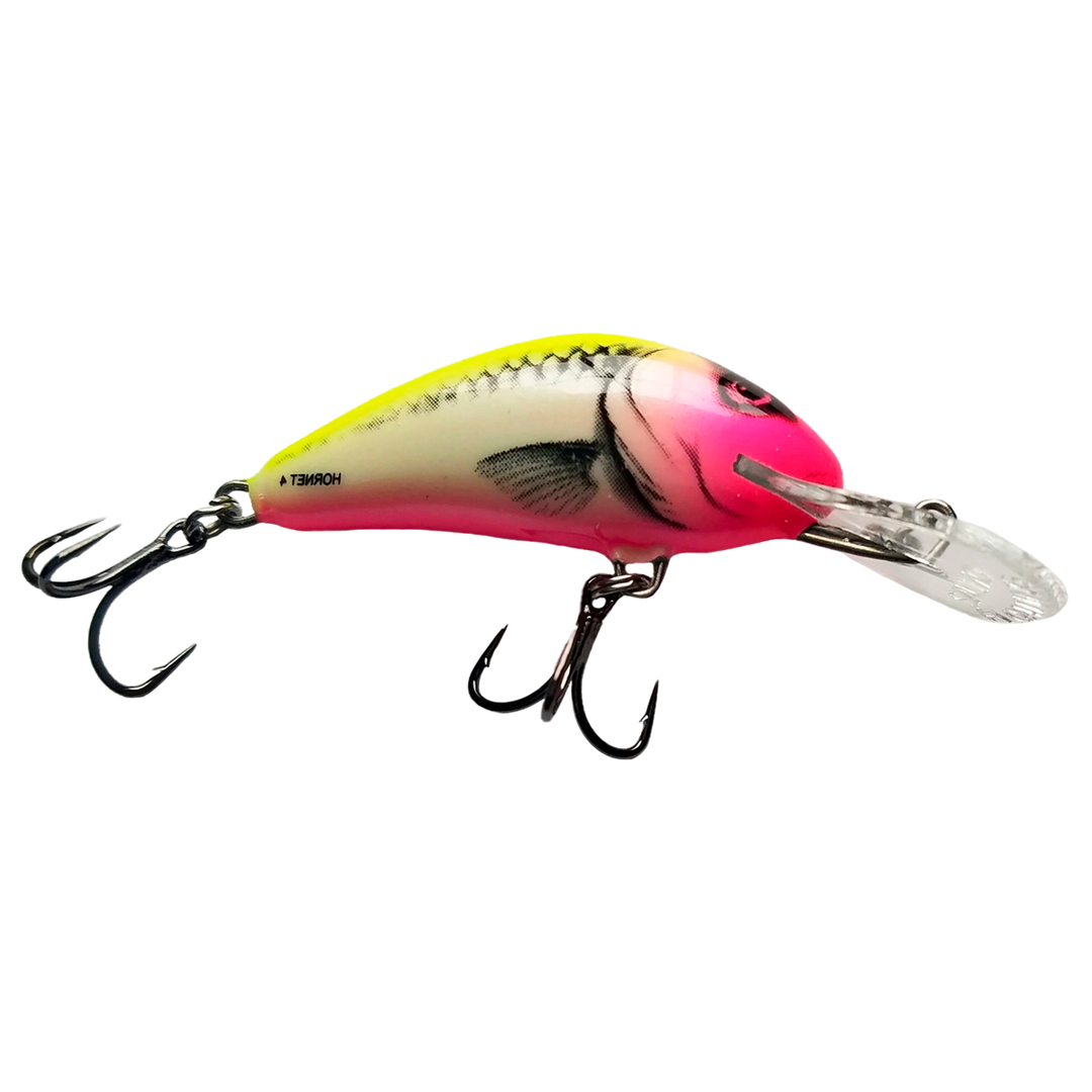 Salmo Rattlin&