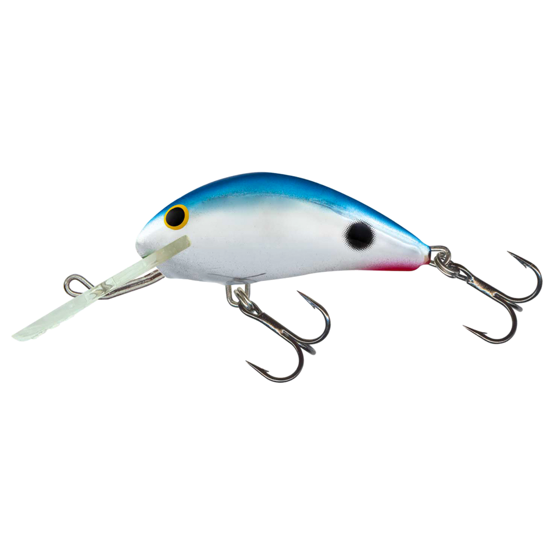 Salmo Rattlin&