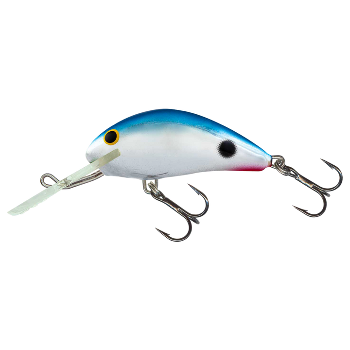 Salmo Rattlin&