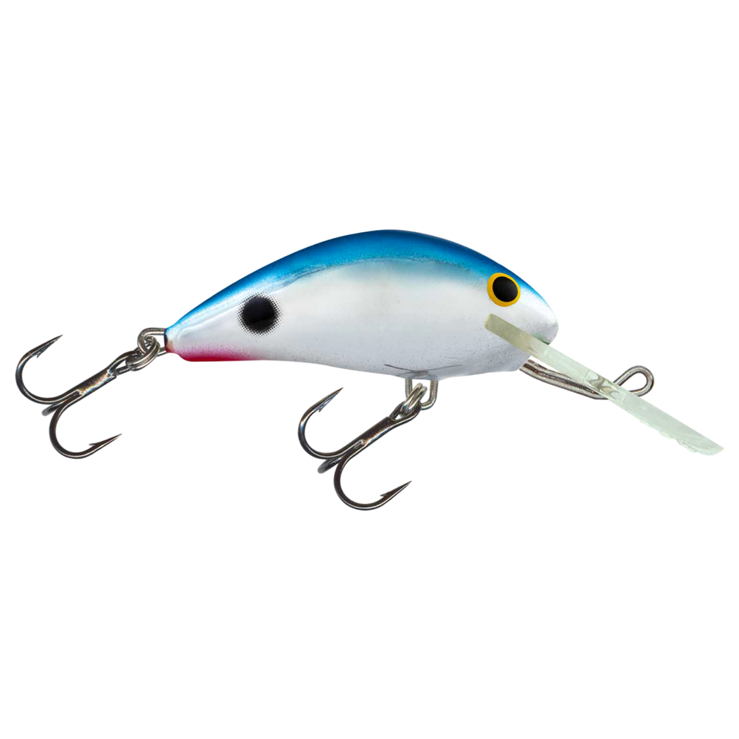 Salmo Rattlin&