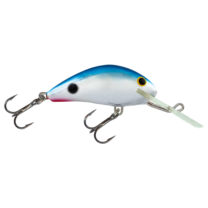 Salmo Rattlin&