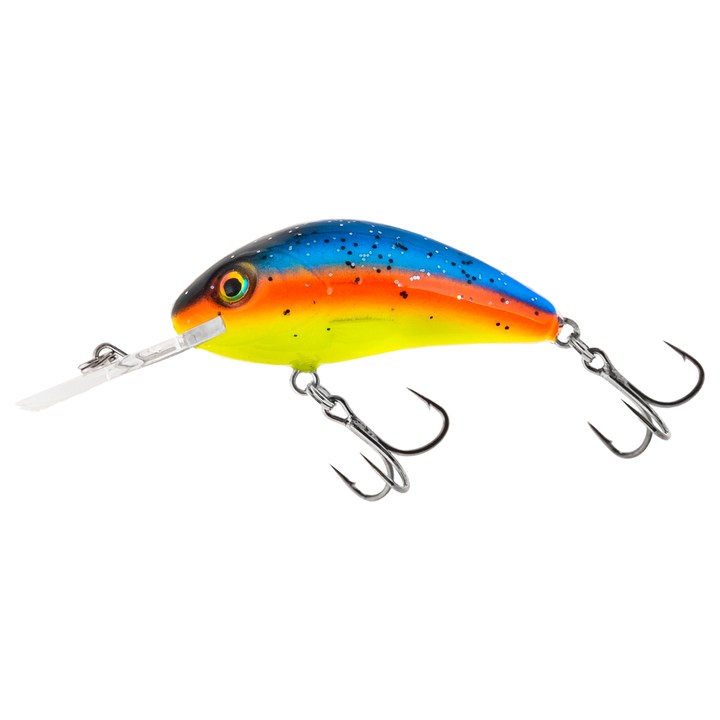 Salmo Rattlin&