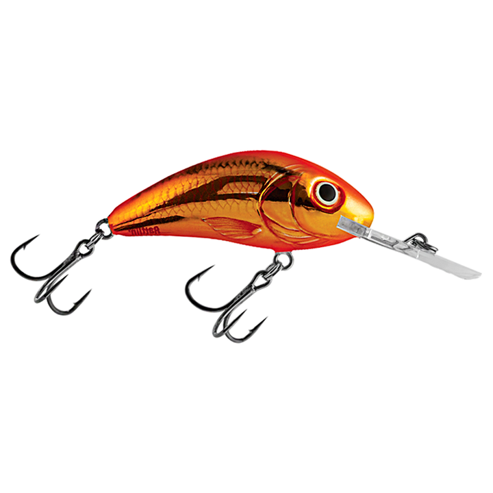 Salmo Rattlin&