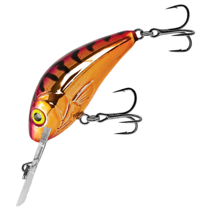 Salmo Rattlin&