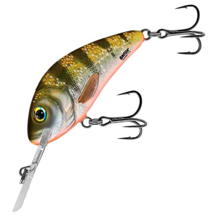 Salmo Rattlin&