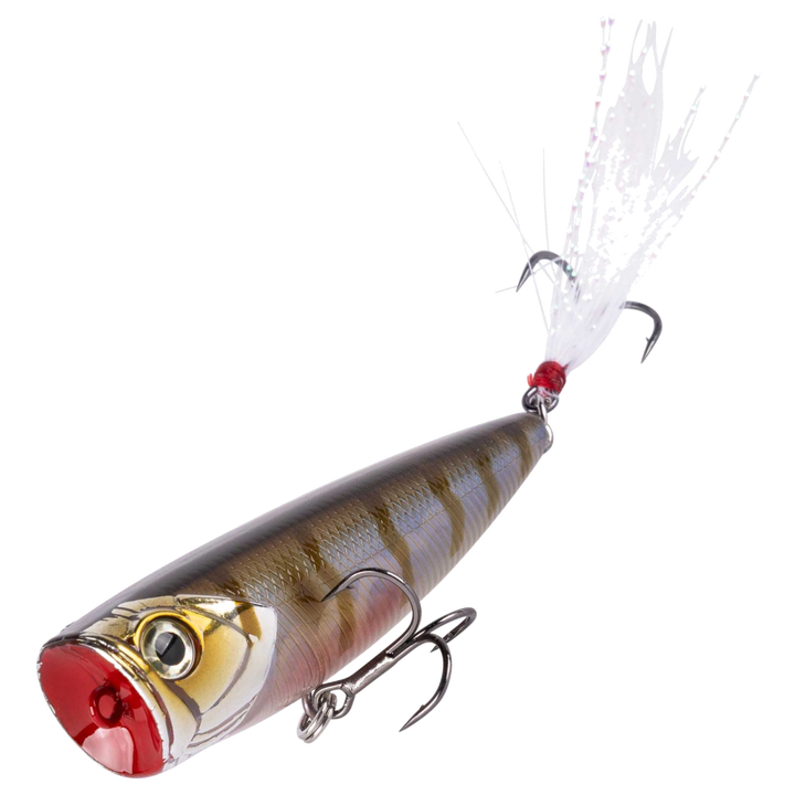 Shimano Yasei Pure Pop F Popperi 80mm 12g | Wakasagi Tiger