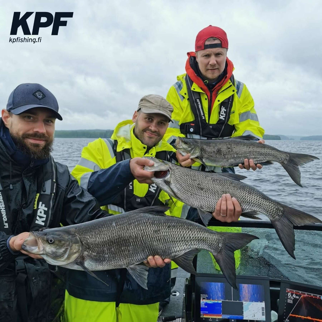 Kalastuskurssi | Kulo-Rautavesi | Toutain | 2024